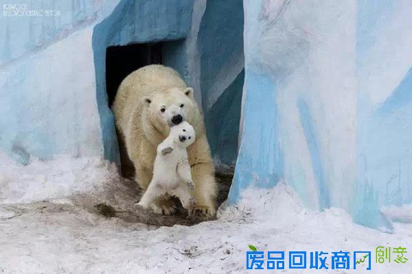 20张经典母爱照片，温暖你的心！