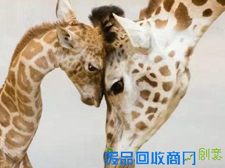 20张经典母爱照片，温暖你的心！