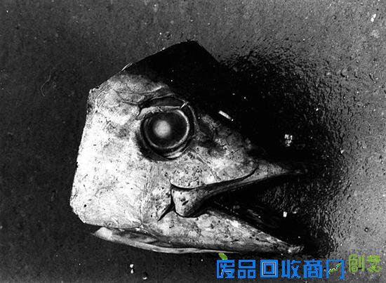 森山大道开酒店，摄影师跨界