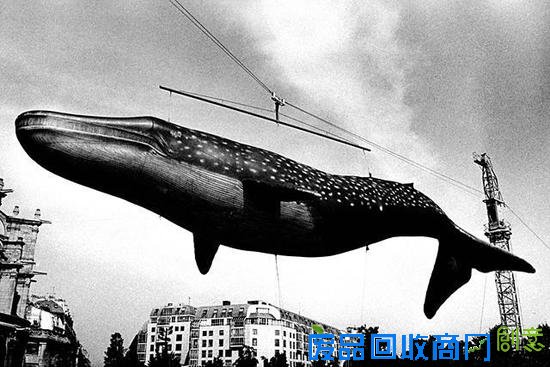 森山大道开酒店，摄影师跨界