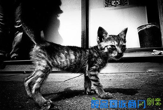 森山大道开酒店，摄影师跨界