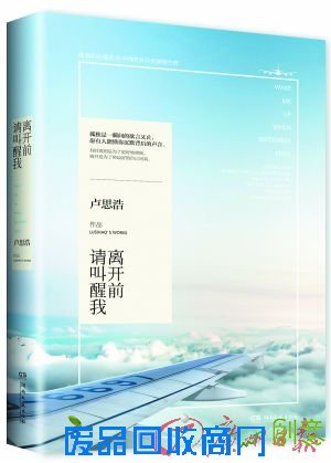 《离开前请叫醒我》