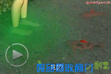 818明星的“致命体味” 明星也有这么邋遢的时候