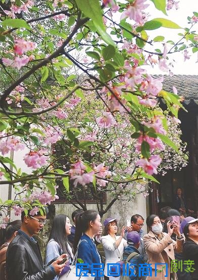 传统节日魅力再现 长假首日225万车流涌入江苏高速