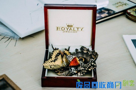 花艺工匠 ANNE TEN DONKELAAR 专访 细枝末节里隐藏的美