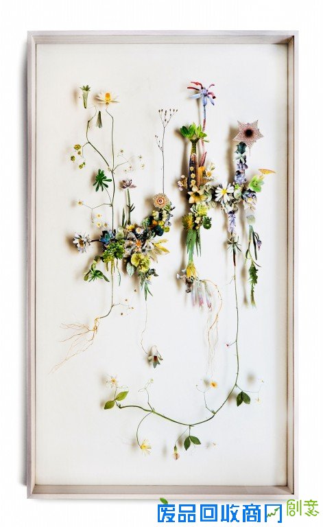 花艺工匠 ANNE TEN DONKELAAR 专访 细枝末节里隐藏的美