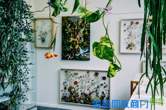 花艺工匠 ANNE TEN DONKELAAR 专访 细枝末节里隐藏的美