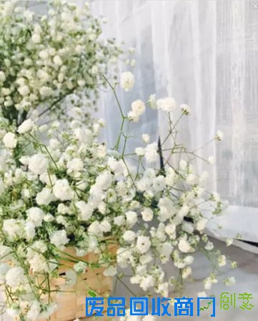 海归姑娘改造房子上瘾 4个月爆改8房受追捧