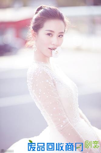 刘诗诗婚纱照曝光网友直呼一个美一个帅 婚礼伴娘伴郎是谁