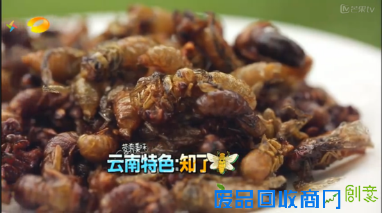 跟着《爸爸去哪儿3》 一起玩转云南西双版纳