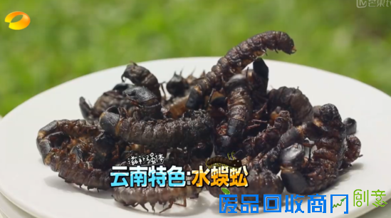 跟着《爸爸去哪儿3》 一起玩转云南西双版纳