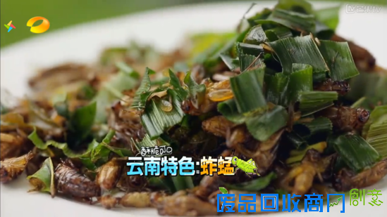 跟着《爸爸去哪儿3》 一起玩转云南西双版纳