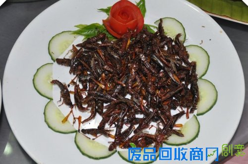 西双版纳美食—炸蚂蚱