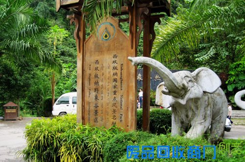 西双版纳野象谷美丽一景