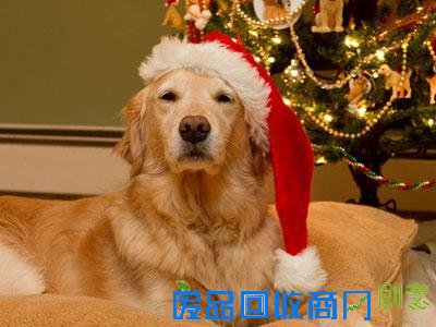 下半年你钱途光明吗