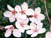 【图】有爱相伴 温暖 ”TA ”的感恩节礼物