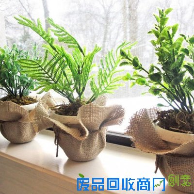 绿里奇迹 用创意盆栽打造花园居室