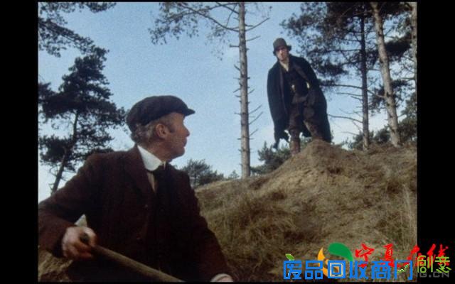 胆小慎入！10部小众而精彩的恐怖电影！