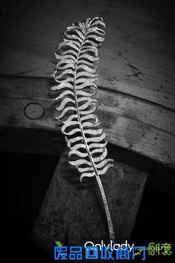 20110609100742594009