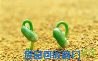 凌宗伟:也算"语录"