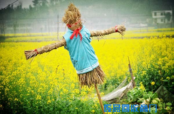 自制稻草人 关爱＂小米粒儿＂ 田间志愿者家庭征集