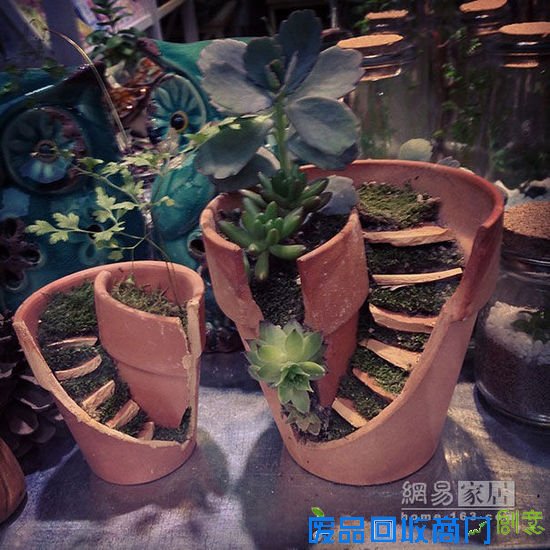 破碎花盆的创意DIY