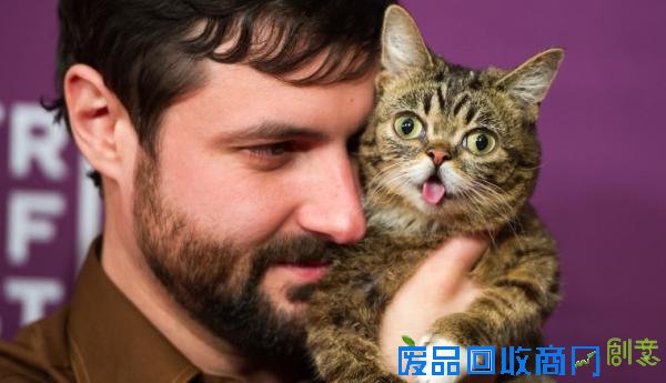 为什么人们爱看萌宠视频？