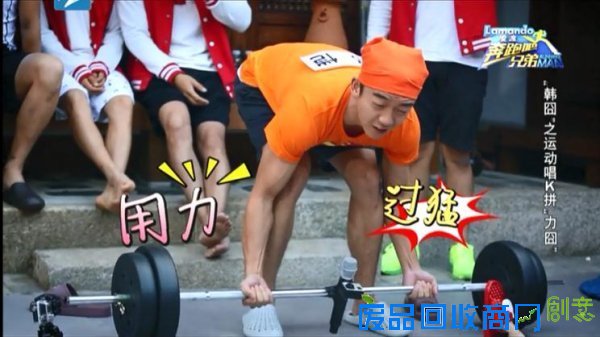 郑恺雪姨尔康王大治龚琳娜 盘点娱乐圈离奇走红的明星