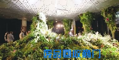 全球第一个地下公园正在筹建