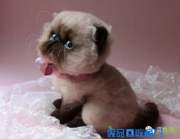 创意手工小动物不用洗澡不用逛街看着就行很可爱