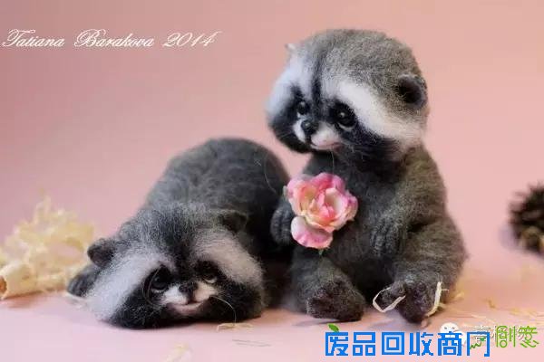 创意手工小动物不用洗澡不用逛街看着就行很可爱