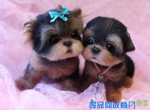 创意手工小动物不用洗澡不用逛街看着就行很可爱