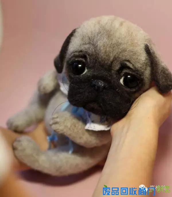 创意手工小动物不用洗澡不用逛街看着就行很可爱