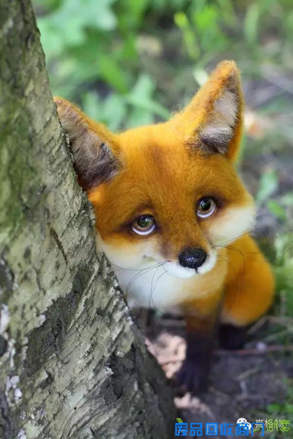 创意手工小动物不用洗澡不用逛街看着就行很可爱