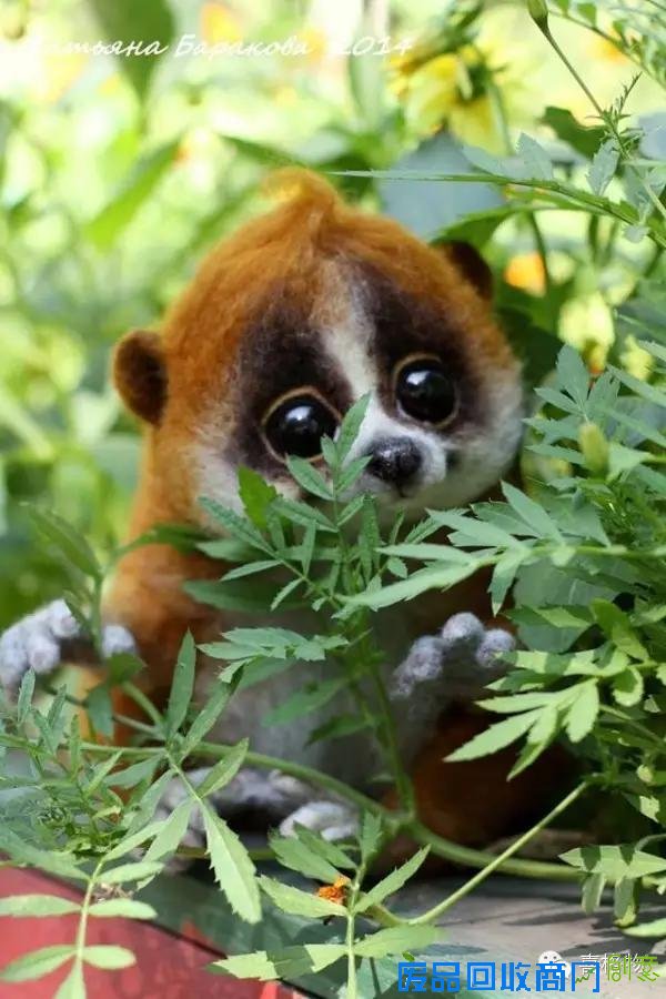 创意手工小动物不用洗澡不用逛街看着就行很可爱