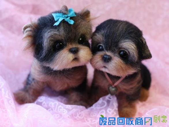 创意手工小动物不用洗澡不用逛街看着就行很可爱