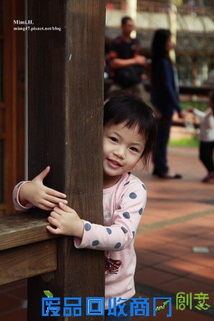 災後重生更美！粉嫩櫻花點綴超夢幻 南投內湖森林國小