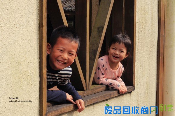 災後重生更美！粉嫩櫻花點綴超夢幻 南投內湖森林國小