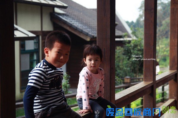 災後重生更美！粉嫩櫻花點綴超夢幻 南投內湖森林國小