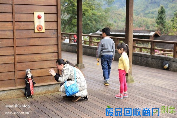 災後重生更美!粉嫩櫻花點綴超夢幻 南投內湖森林國小