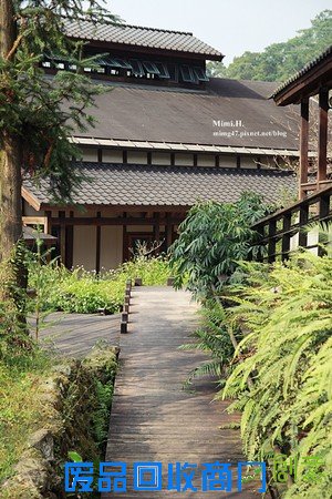 災後重生更美!粉嫩櫻花點綴超夢幻 南投內湖森林國小