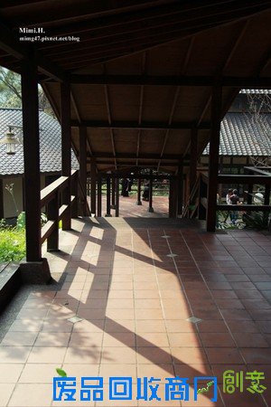 災後重生更美!粉嫩櫻花點綴超夢幻 南投內湖森林國小