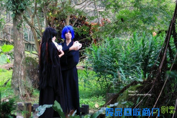 災後重生更美!粉嫩櫻花點綴超夢幻 南投內湖森林國小