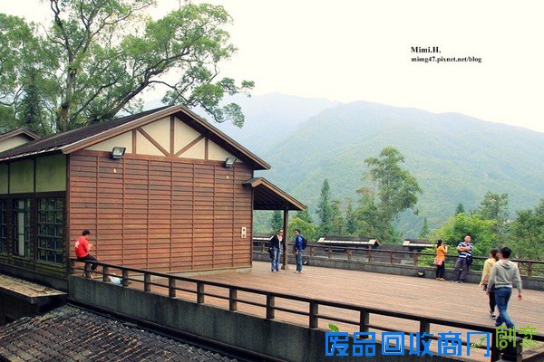 災後重生更美!粉嫩櫻花點綴超夢幻 南投內湖森林國小