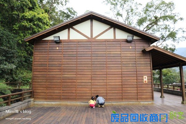 災後重生更美!粉嫩櫻花點綴超夢幻 南投內湖森林國小