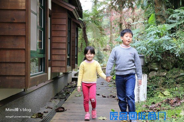 災後重生更美!粉嫩櫻花點綴超夢幻 南投內湖森林國小