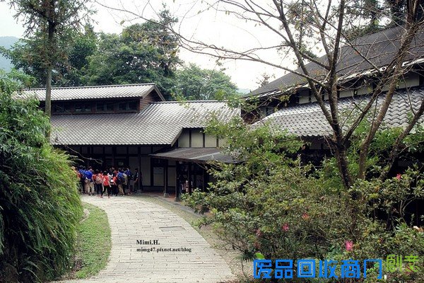 災後重生更美!粉嫩櫻花點綴超夢幻 南投內湖森林國小