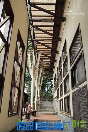 災後重生更美!粉嫩櫻花點綴超夢幻 南投內湖森林國小