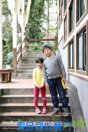 災後重生更美!粉嫩櫻花點綴超夢幻 南投內湖森林國小