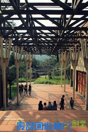 災後重生更美!粉嫩櫻花點綴超夢幻 南投內湖森林國小